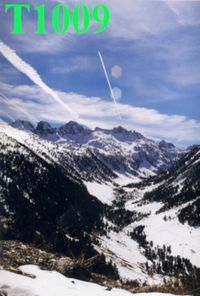 T1009