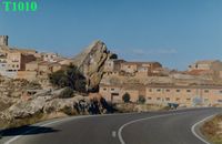 T1010