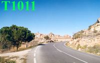 T1011