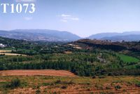 T1073