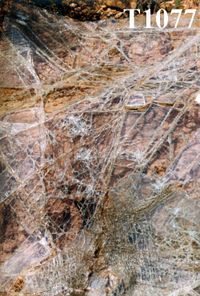 T1077