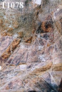 T1078