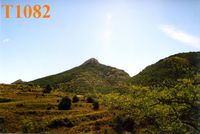 T1082