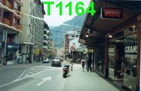 T1164