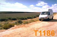 T1186