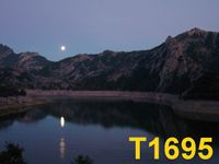 T1695