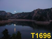 T1696