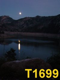 T1699