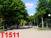 T1511