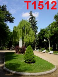T1512