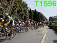 T1596