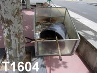 T1604