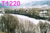 T1220