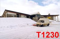 T1230