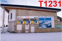 T1231