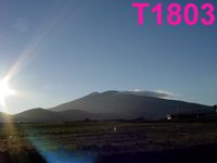 T1803